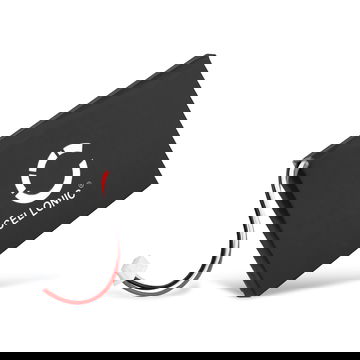 Batterij voor Apple iPod 4. Generation Photo - A1059 A1099 900mAh van subtel