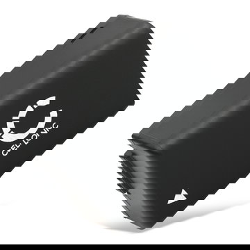 BP-DC9 Battery for Leica V-LUX 2 V-LUX 3 800mAh Camera Battery Replacement BP-DC9