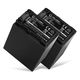 2x Accu NP-FV90 2200mAh