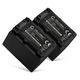 2x Accu NP-FV70 NP-FV100 1500mAh