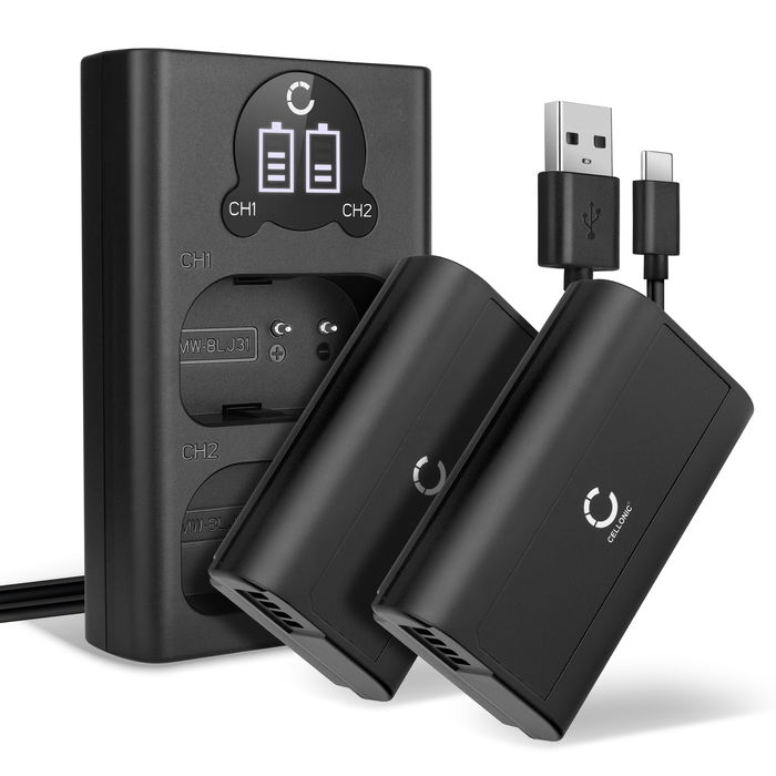 2x DMW-BLJ31 accu voor Panasonic Lumix DC-S1 Lumix DC-S1H Lumix DC-S1R, Lumix S1 - 2200mAh + Dubbele Oplader DMW-BTC14E vervangende accu voor camera