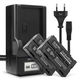 2x Accu GR-B202 VW-VBD070 VBD1 VM-BPL13 2000mAh + Oplader
