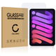 1x Screen Protector
