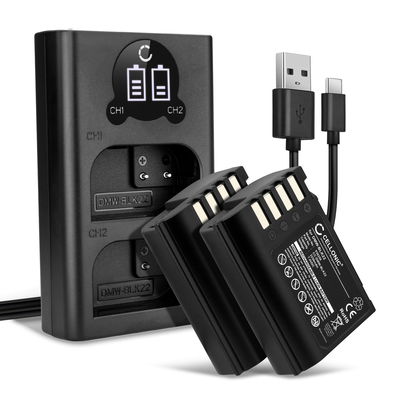 2x Camera batterij voor Panasonic Lumix G9, GH5S, DC-S5, DC-S5K, DC-GH5 II, DMW-BLK22, DMW-BTC15 - DMW-BLK22 Vervangende batterij 2250mAh + Dubbele Oplader DMW-BTC15 oplaadkabel, batterij reserve accu