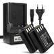 2x Accu DMW-BLK22 1600mAh + Oplader