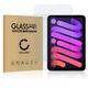 2x Screen Protector