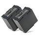 2x Accu CGA-D54 CGR-D120 -D220 3300mAh